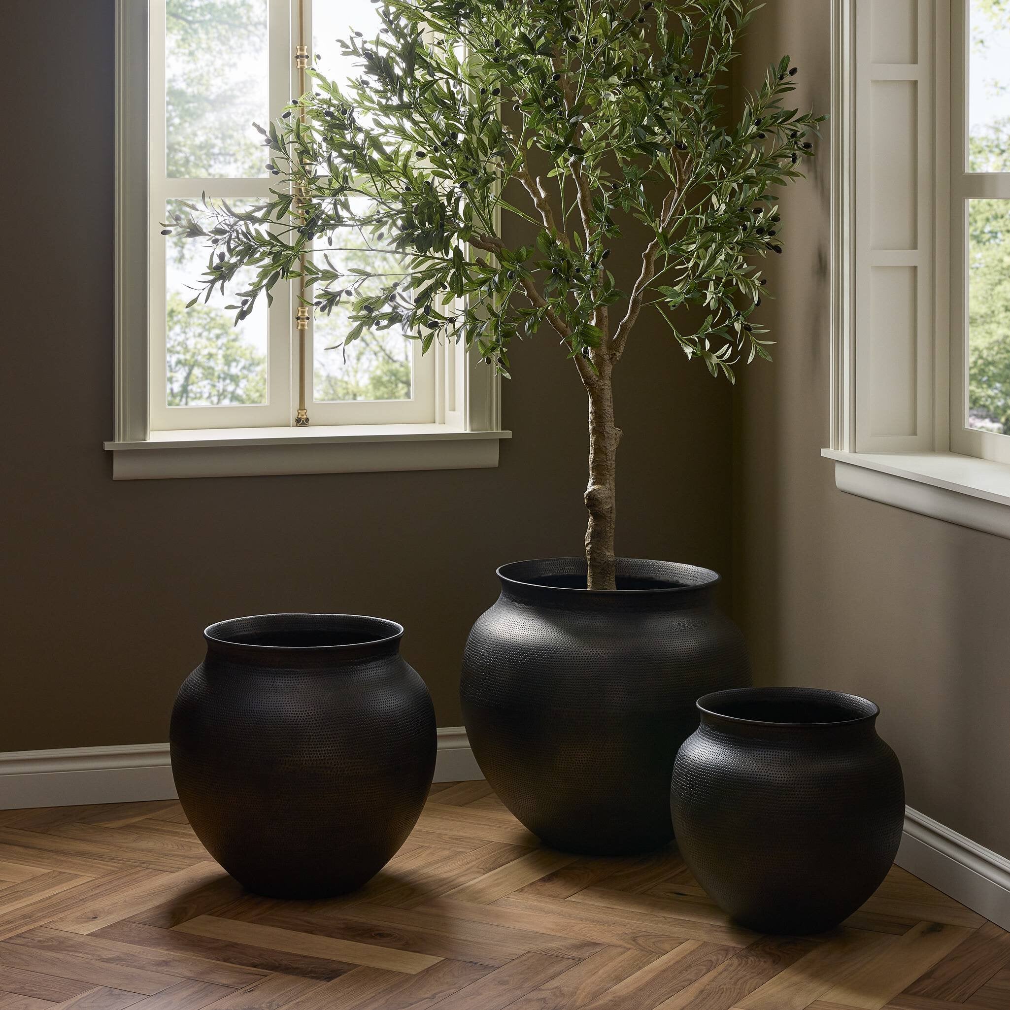 Kyla Planter