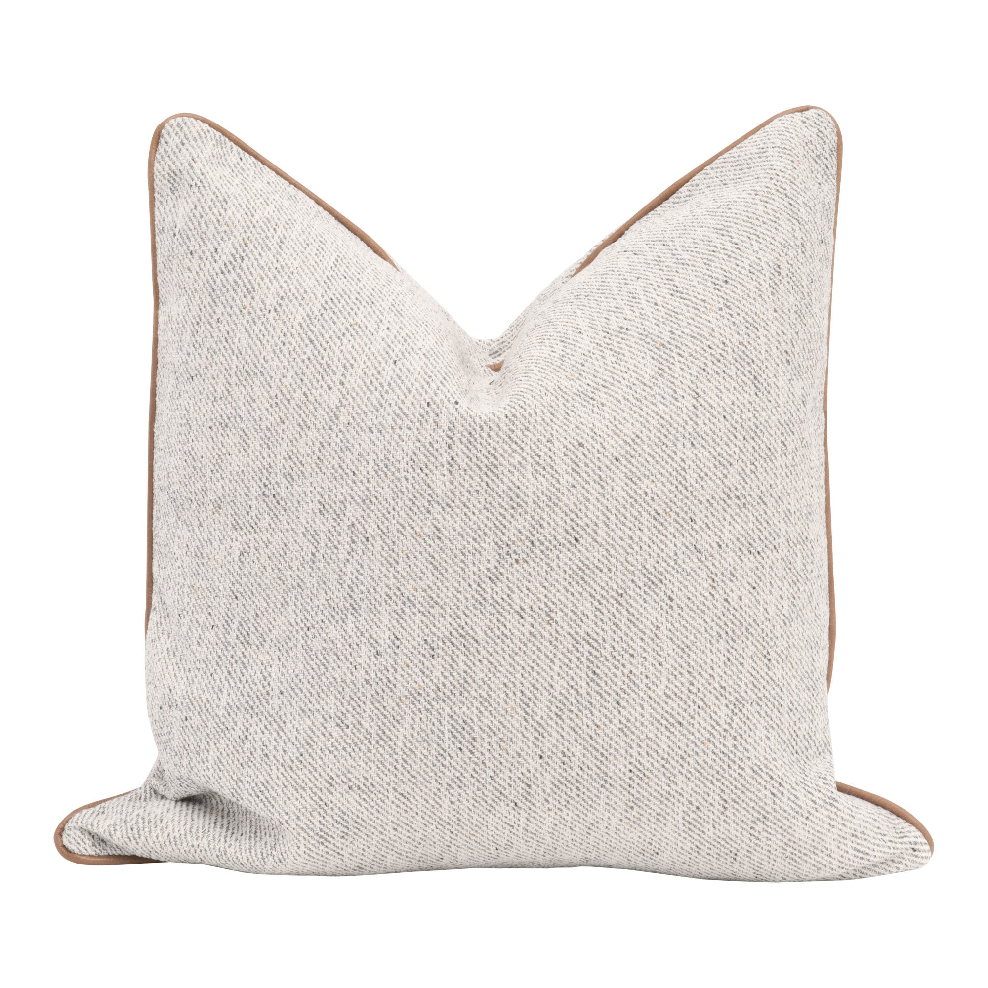 Darwin Pillow, Set of 2