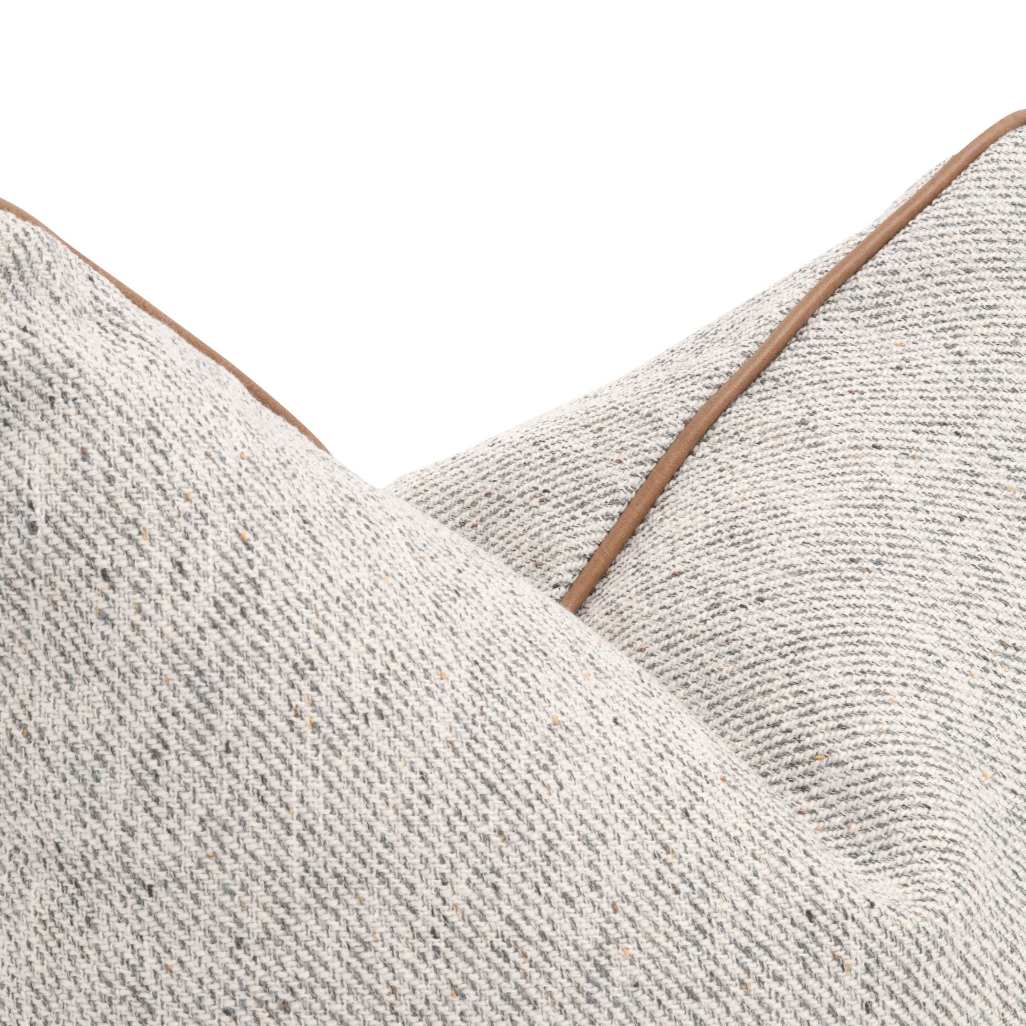 Darwin Pillow, Set of 2
