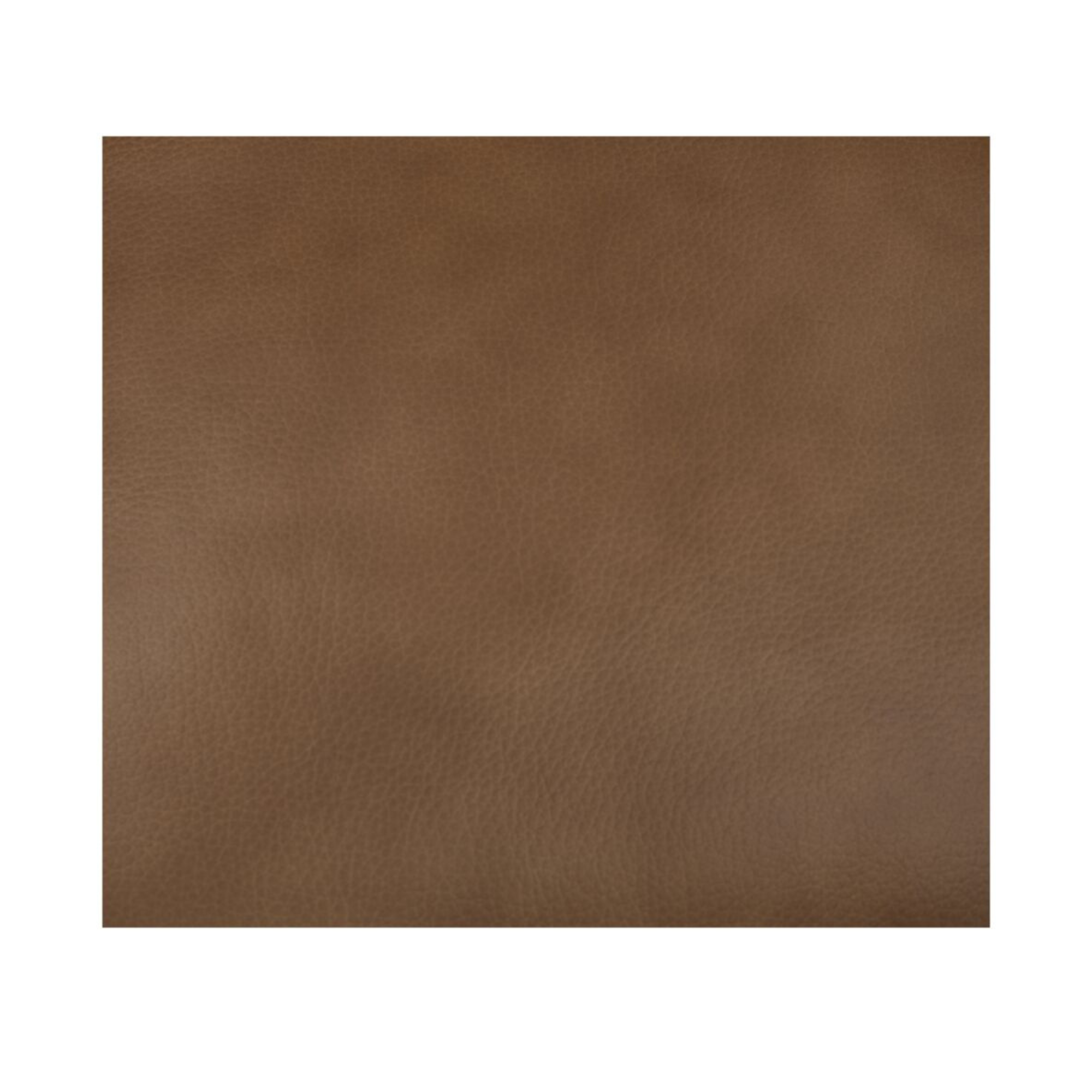 Mara Rolling Dining Chair