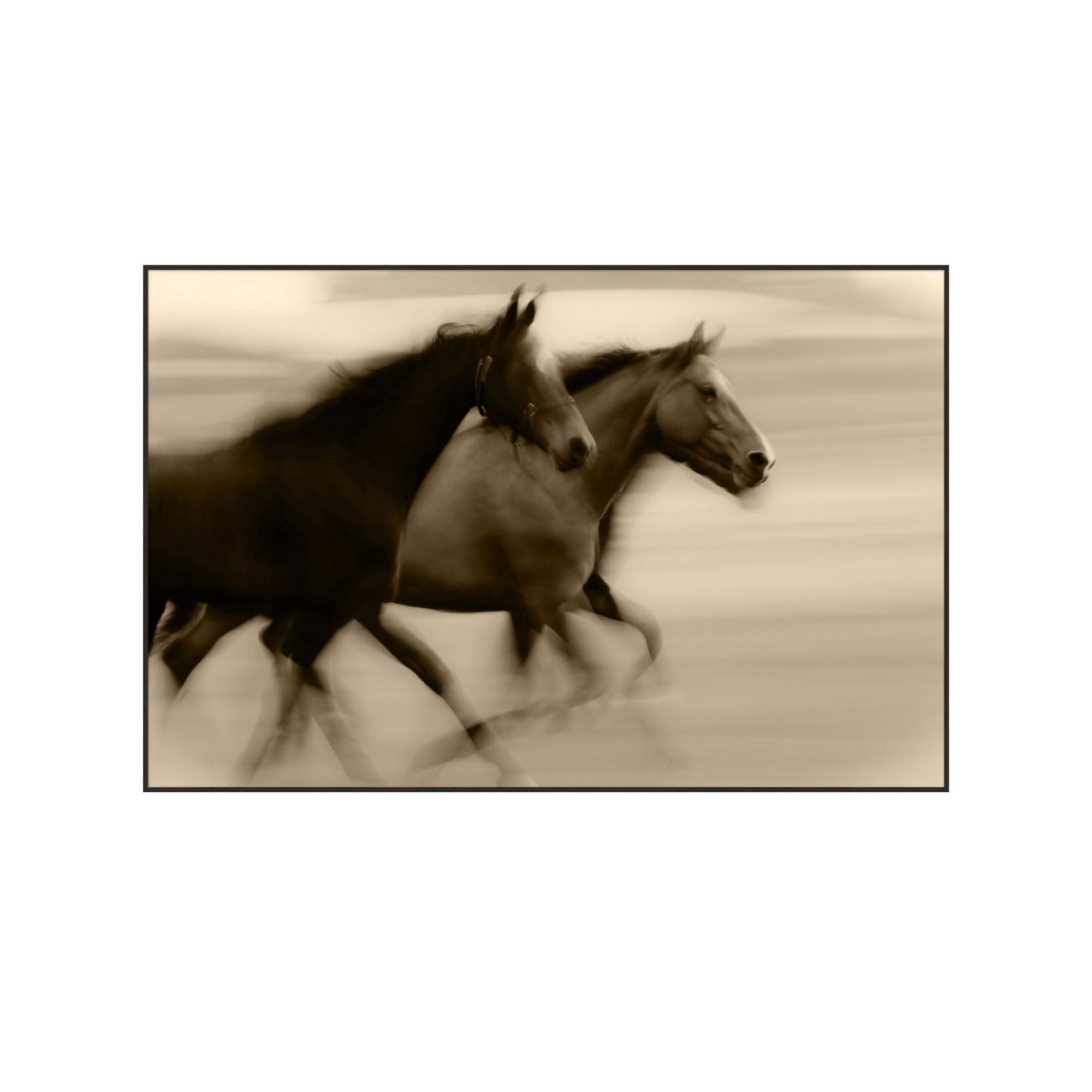Desert Run