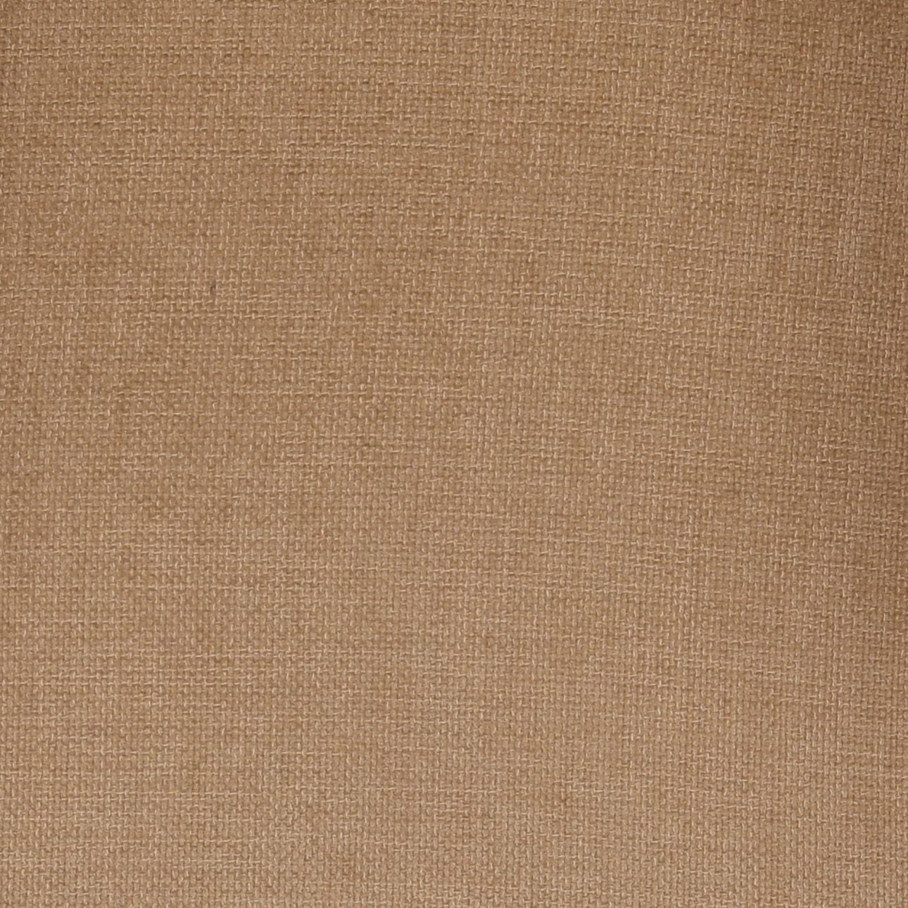 Loise Dining Chair