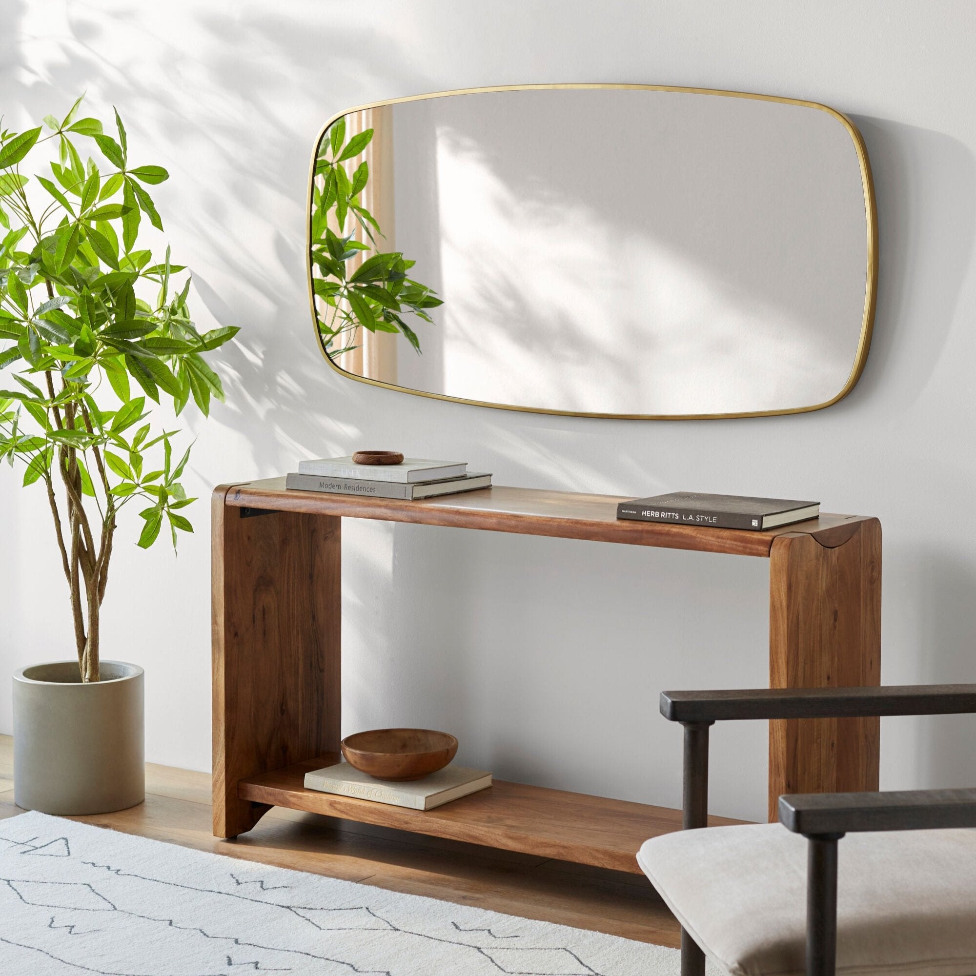 Efren Mirror