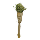 Avana Grass in Craft Paper Wrap