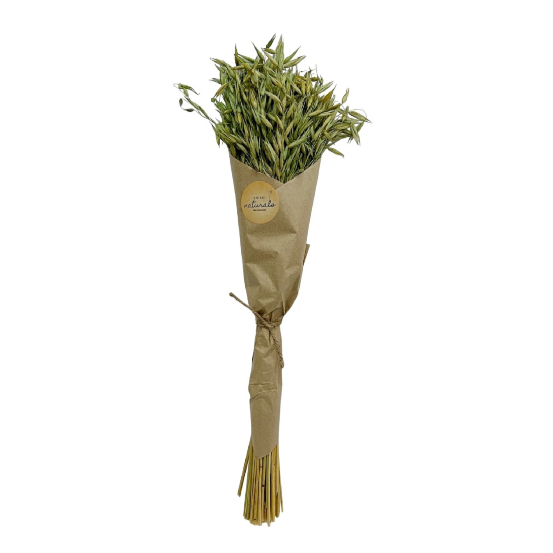 Avana Grass in Craft Paper Wrap