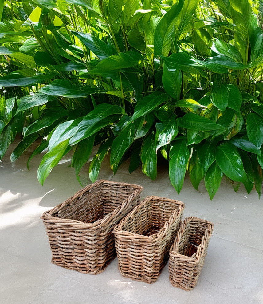 Belen Rattan Baskets, Set of 3