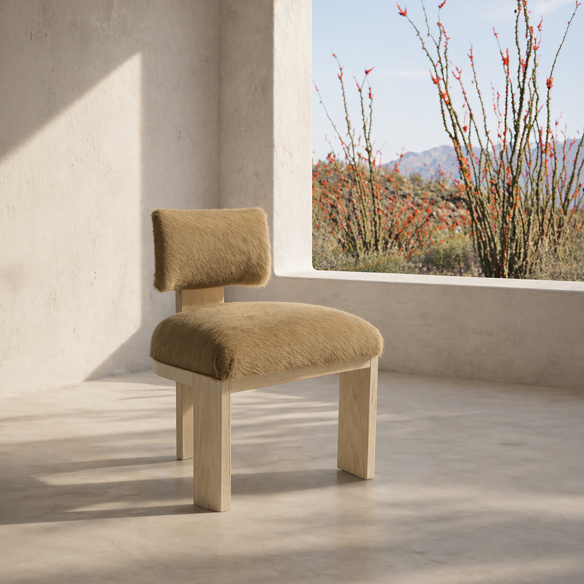 Ocotillo Dining Chair