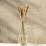 Brown Petite Pampas, Bundle of 15- StyleMeGHD - Natural Home Decor
