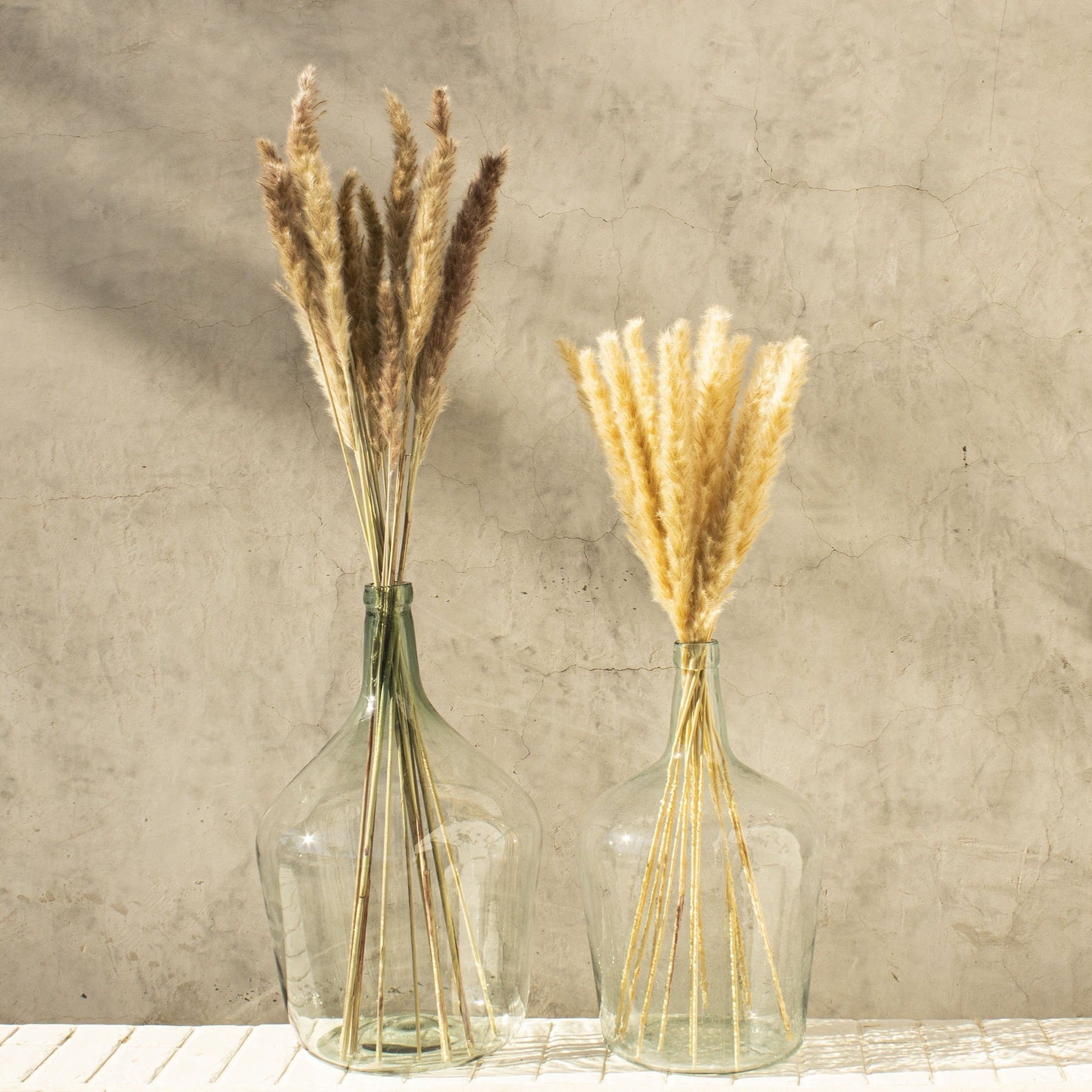Brown Petite Pampas, Bundle of 15- StyleMeGHD - Natural Home Decor