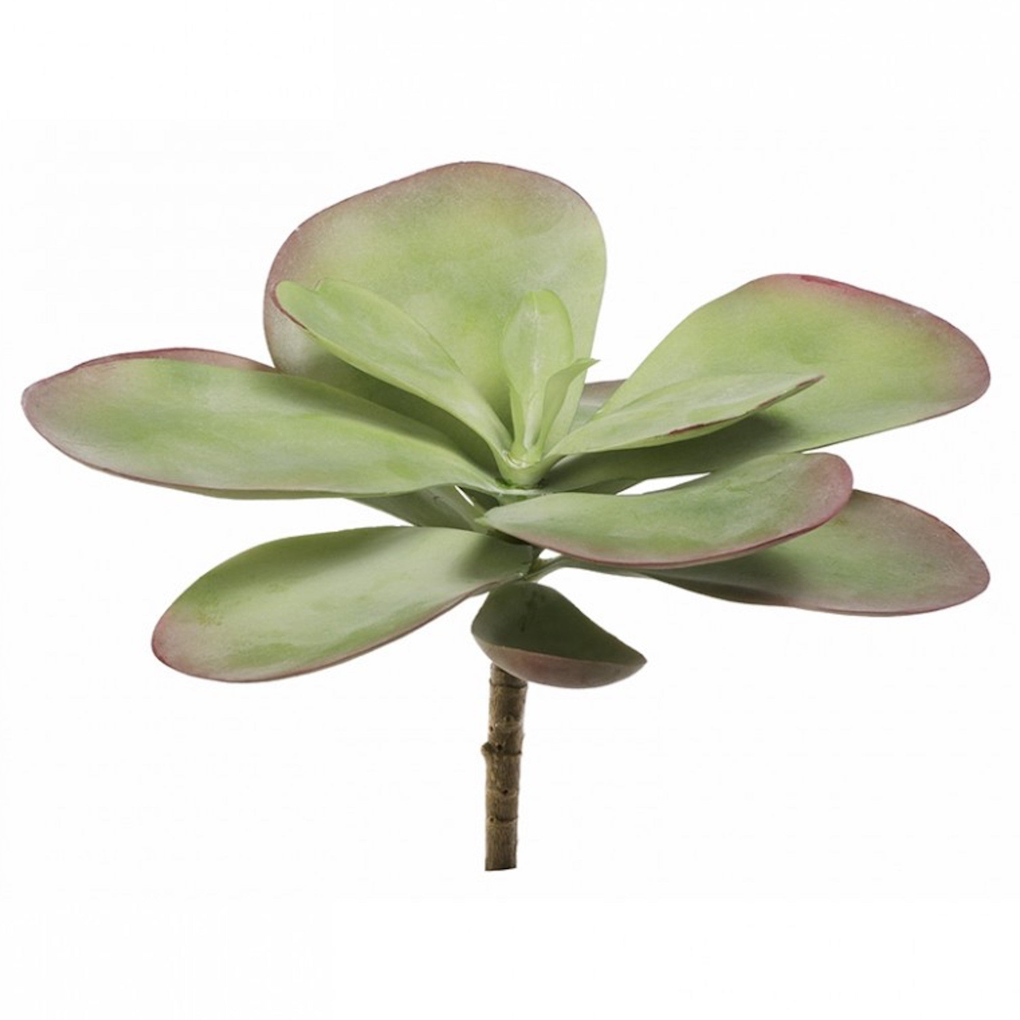 Faux Dusty Paddle Succulent - StyleMeGHD - Modern Home Decor