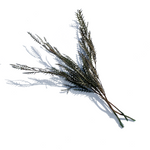 Olive Sword Leaf Fern, Bundle of 3 - StyleMeGHD - Dried Botanicals
