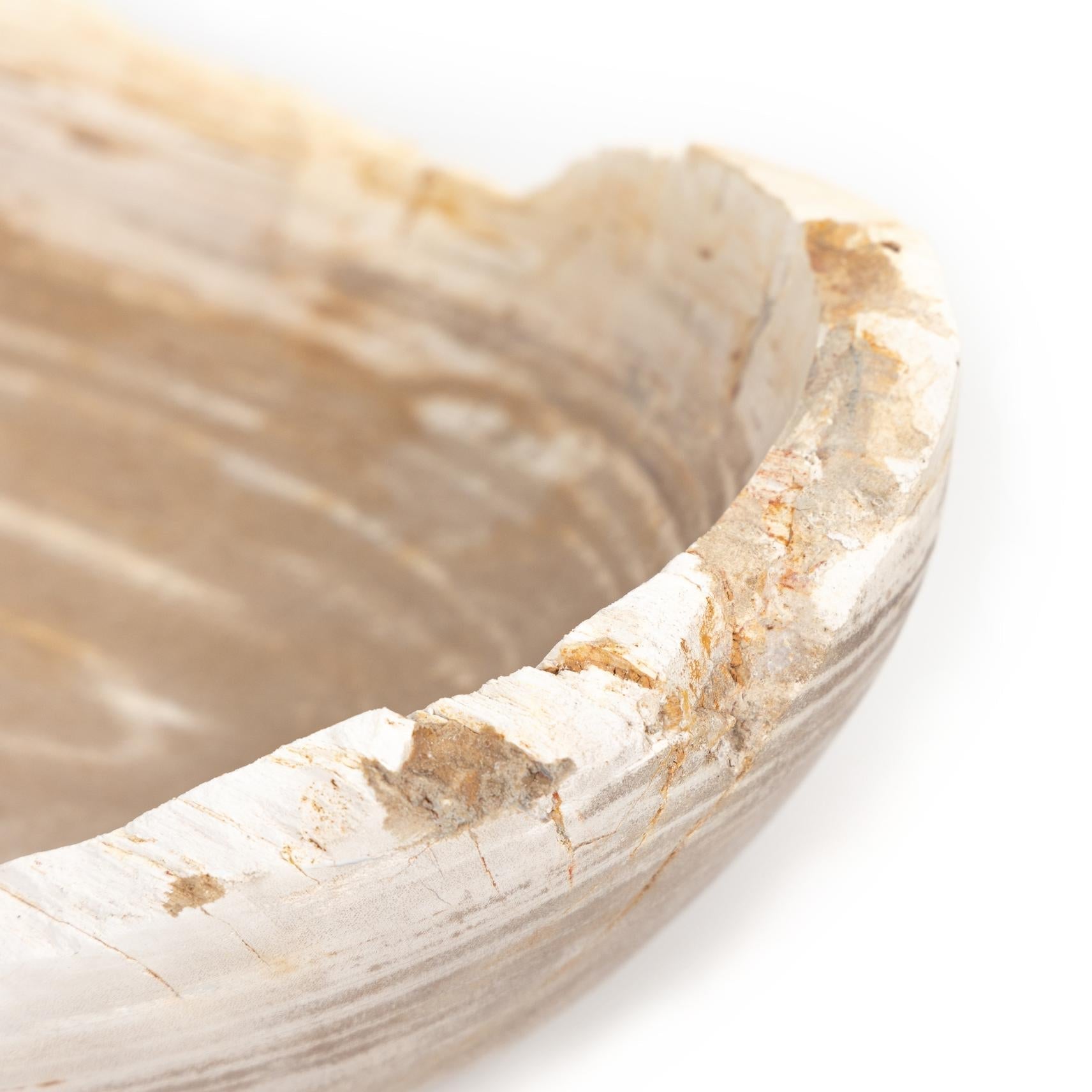Oval Petrified Wood Bowl - StyleMeGHD - Earthy Home Decor