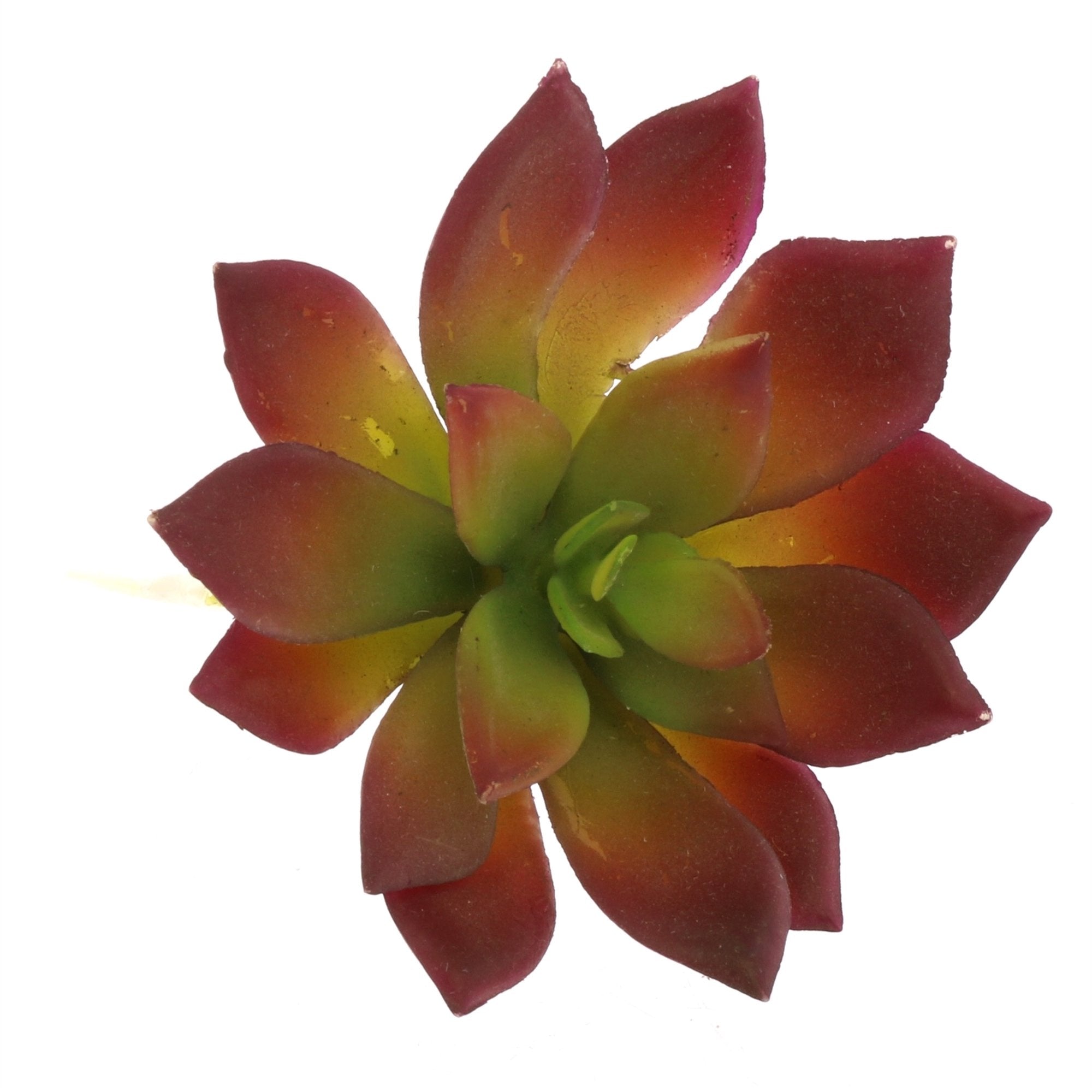 Paprika Faux Succulents - StyleMeGHD - Modern Home Decor