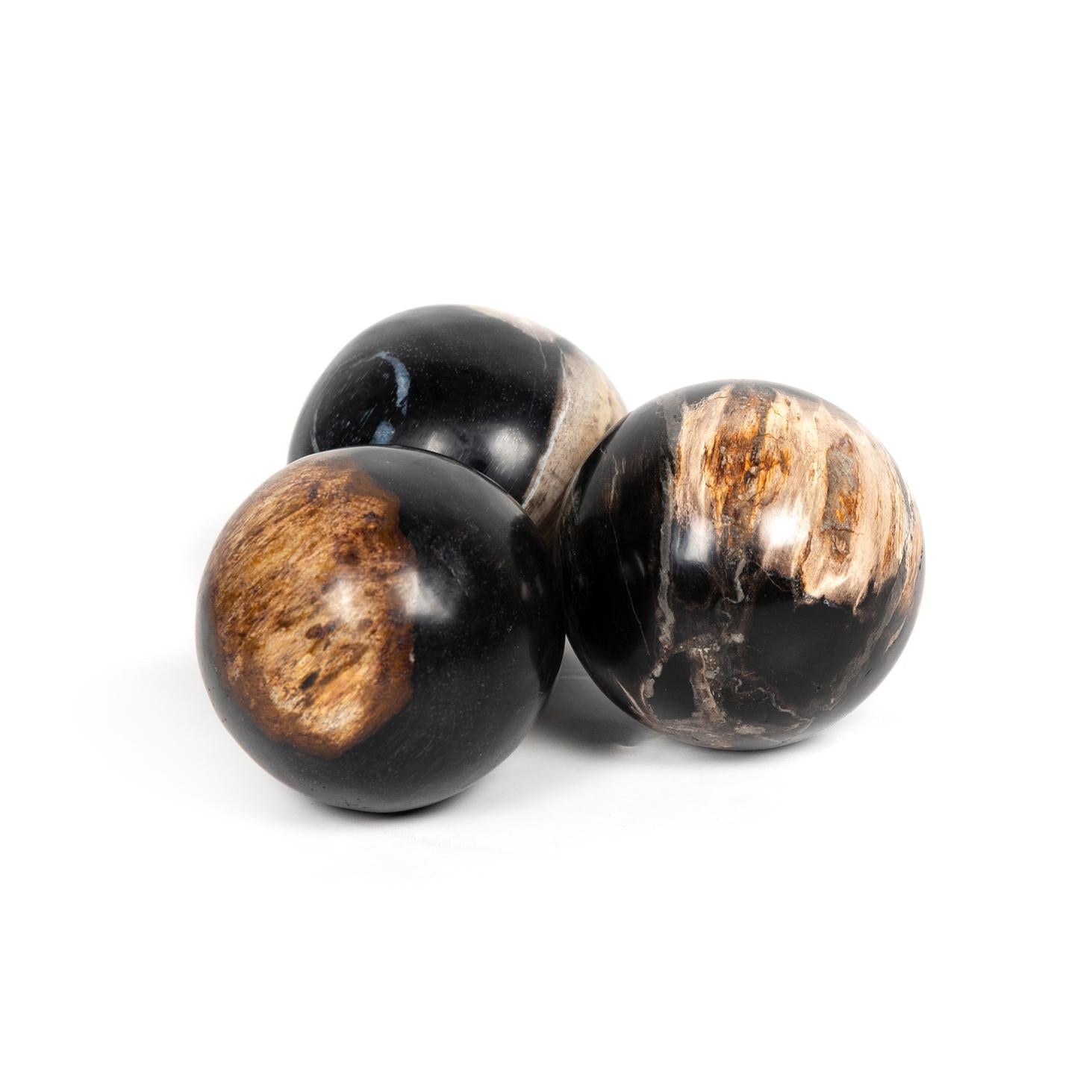 Petrified Wood Balls, Set of 3 - StyleMeGHD - Modern Home Decor