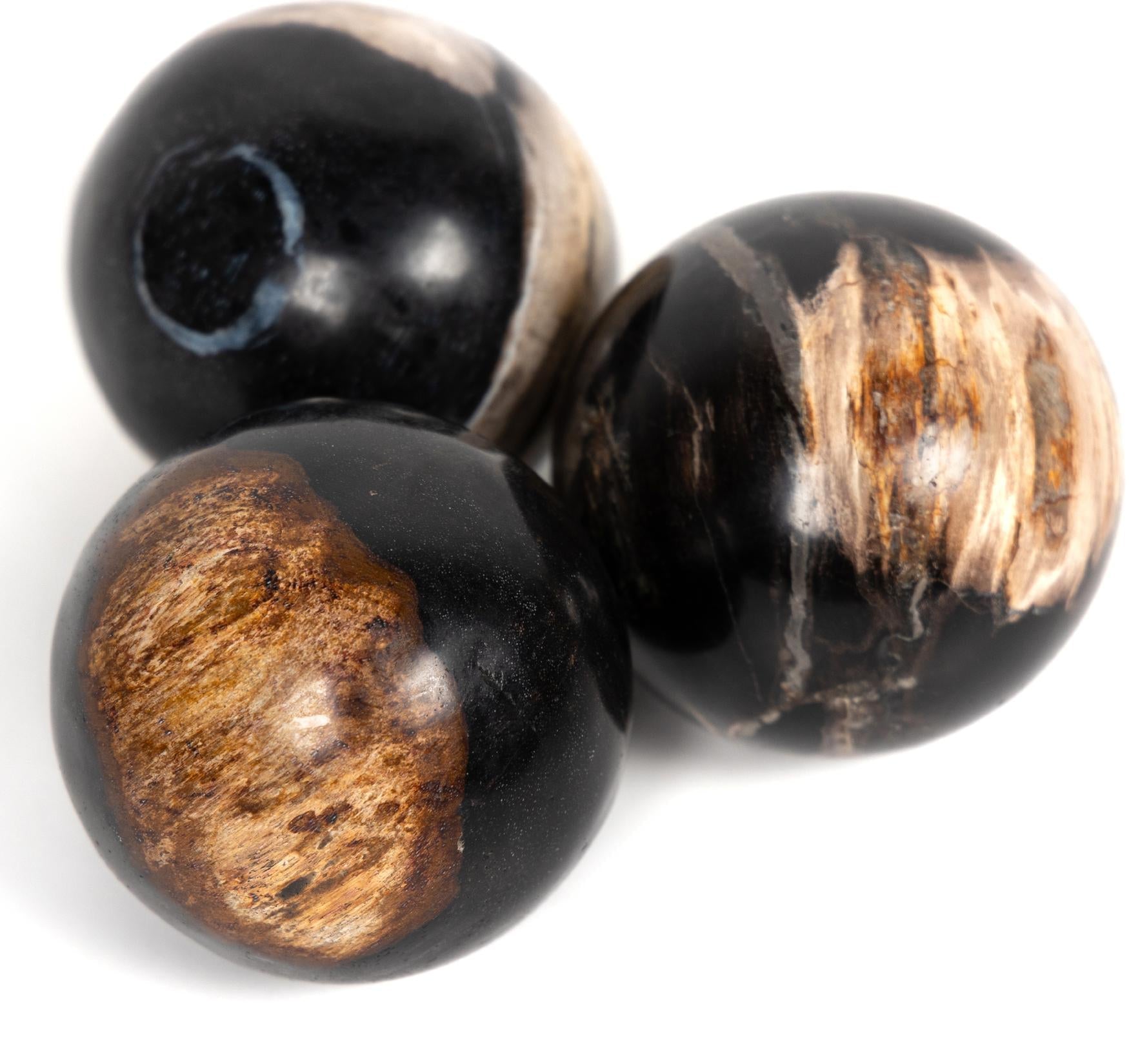 Petrified Wood Balls, Set of 3