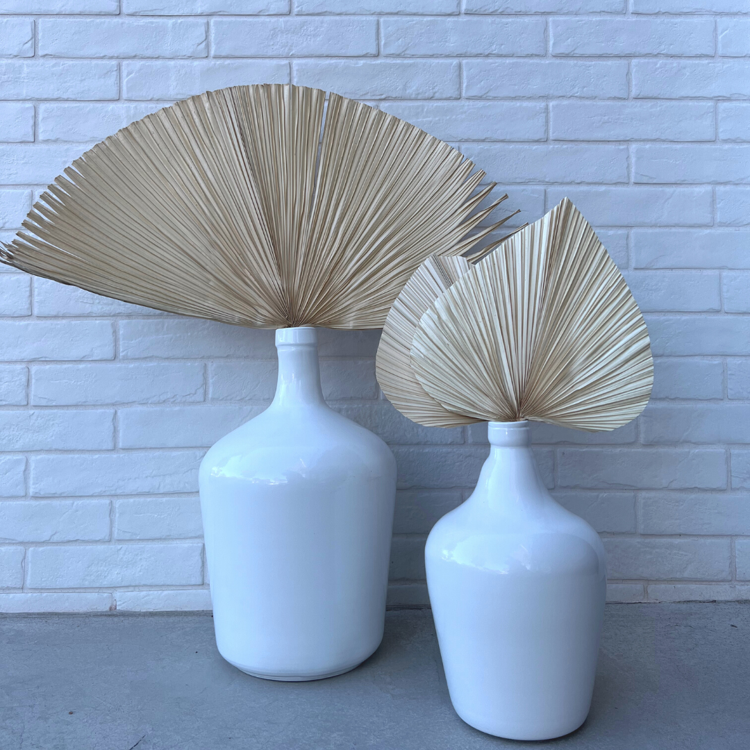 Natural Bleached Fan Palm
