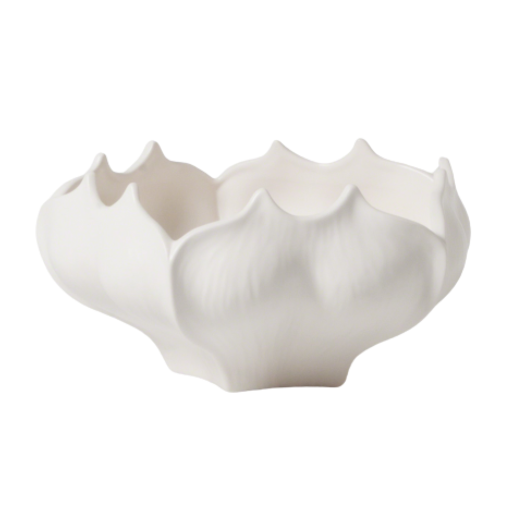 Star Fruit Bowl